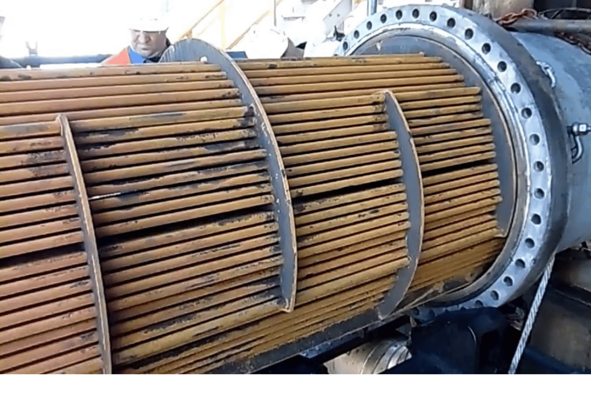 未命名的设计 - 2026-01-12T150630.355.png