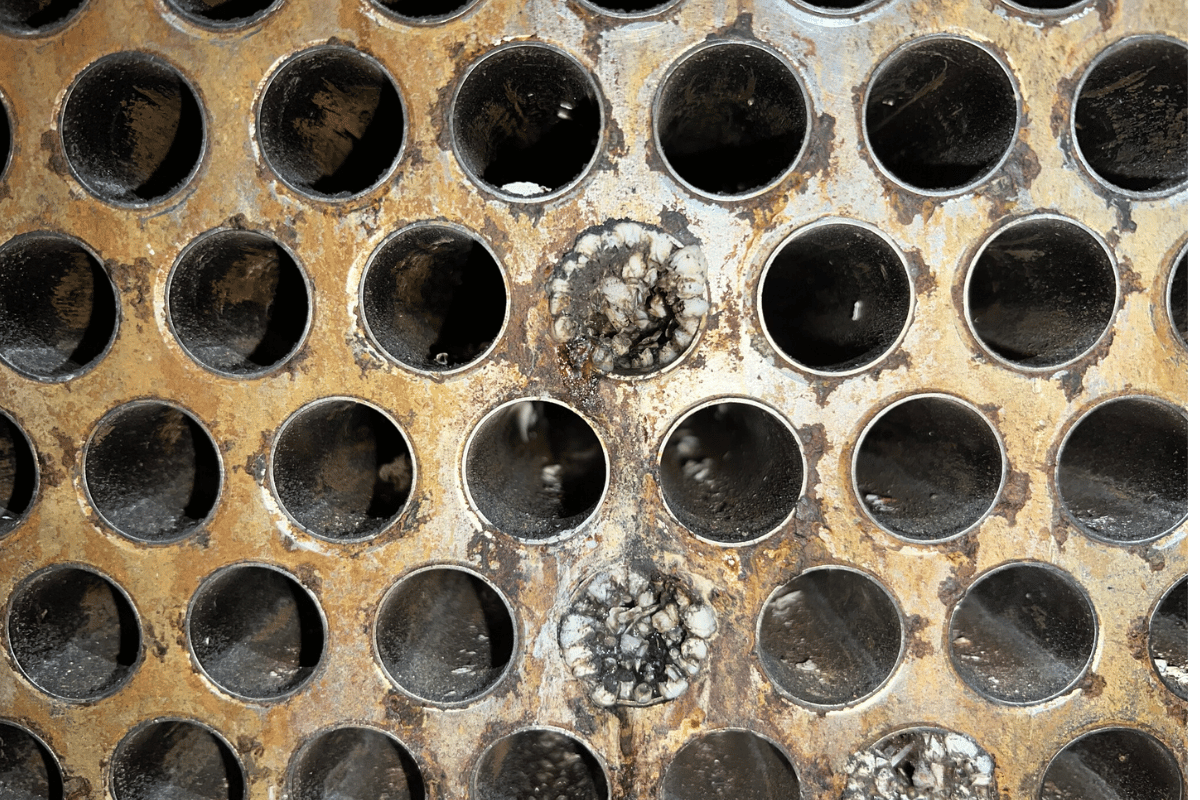 未命名 (1200 x 800 像素) - 2026-01-22T142439.989.png 未命名 (1200 x 800 像素) - 2026-01-22T142439.989.png